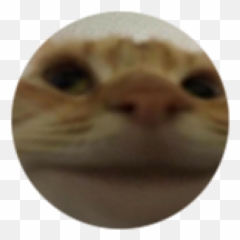 Pog - Roblox Emoji,Slap Emoji Png
