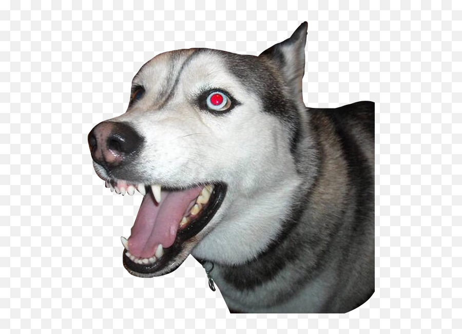 Dog Feral Husky Gothic 265369457022212 By Dogretch Emoji,Dog Emoji Meme