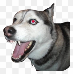 Dog Feral Husky Gothic 265369457022212 By Dogretch Emoji,Dog Emoji Meme