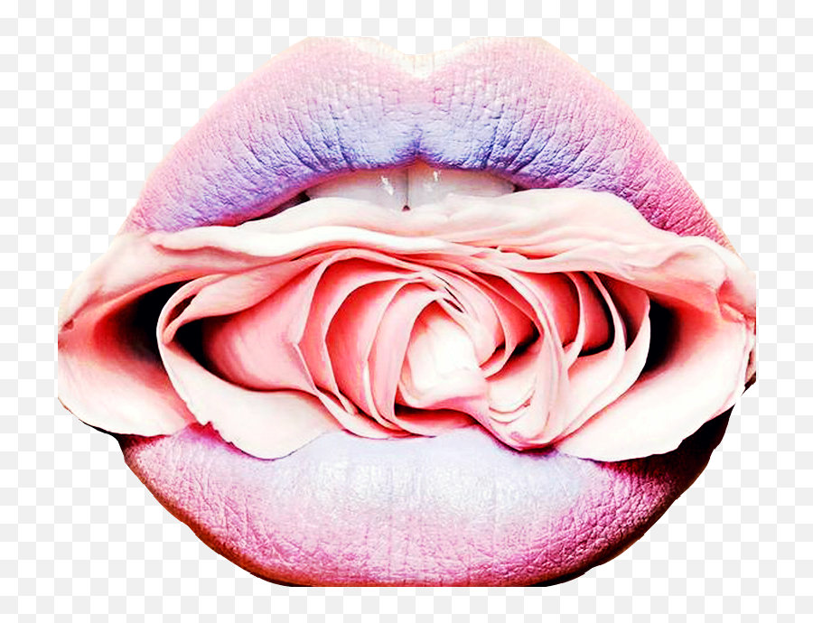 Lips Sticker Challenge On Picsart Emoji,Emoji With Rose In Mouth