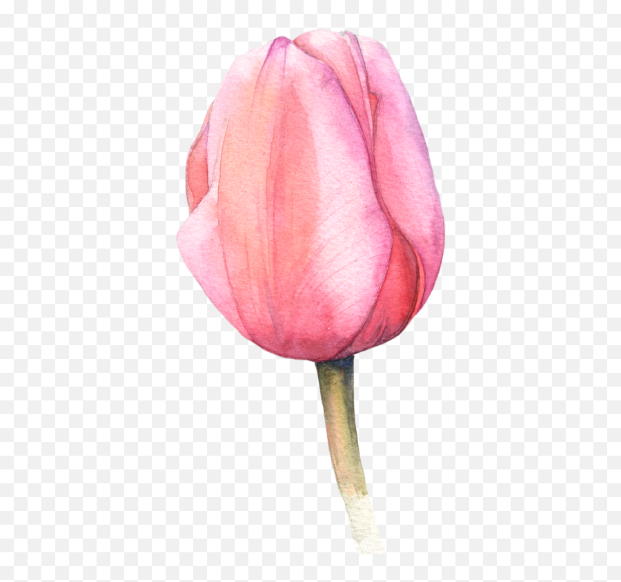 900 Create Ideas Watercolor Paintings Watercolor Art - Png Tulips Watercolor Art Emoji,Spring Emotion Leonid Afremov