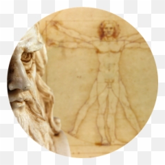 Honda Global - Vitruvian Emoji,Quantic Dream Emotion Statue