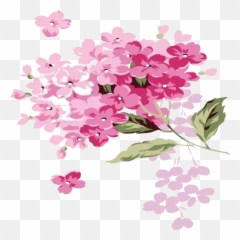 Cake Happy Birthday Whatsapp Stickers - Stickers Cloud Hydrangea Clip Art Png Emoji,Happy Birthday Emoticon Whatsapp