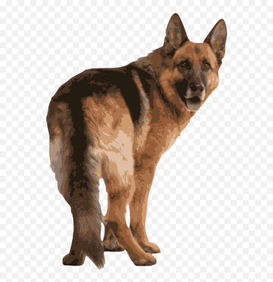 German Shepherd Clipart - Dog Png Back Side Emoji,German Shepherd Dog Barking Emoticon