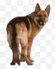 German Shepherd Clipart - Dog Png Back Side Emoji,German Shepherd Dog Barking Emoticon