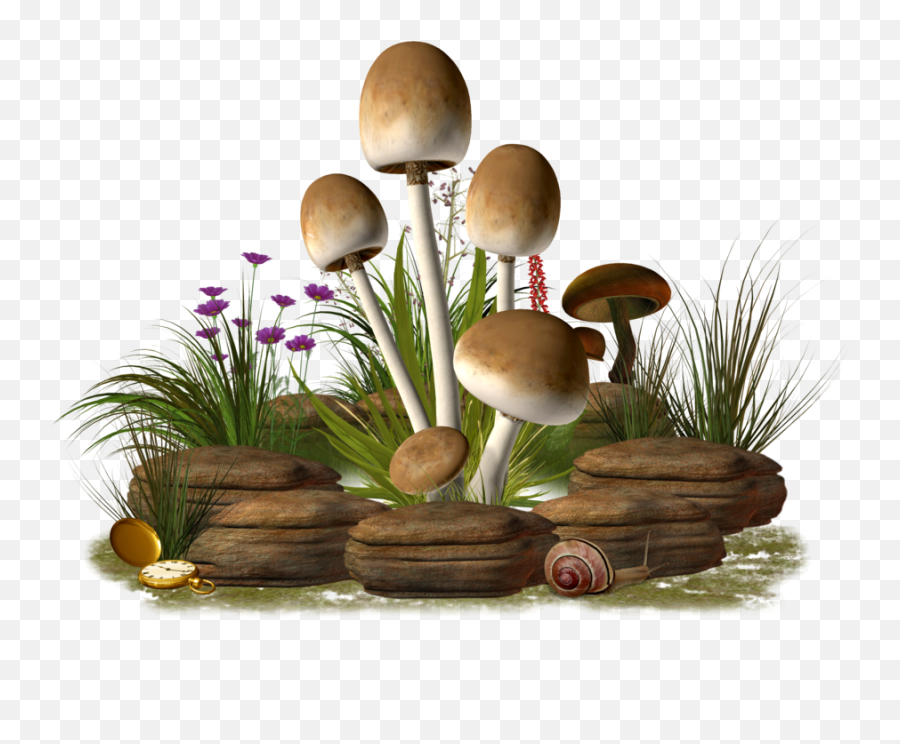 Mushroom Png Transparent Image Png Mart Emoji,Mushroom Emoji Png