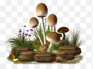 Mushroom Png Transparent Image Png Mart Emoji,Mushroom Emoji Png