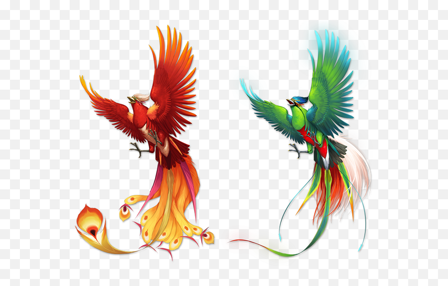 Download Color Pattern Fenghuang Bird Phoenix Free Frame - Fenghuang Emoji,Parrot Emoticon