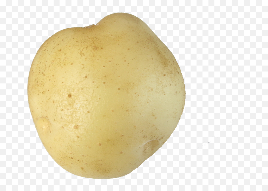 Tiggles - Calendar Dota2 Guilded Russet Burbank Potato Emoji,Discord Potato Emoji