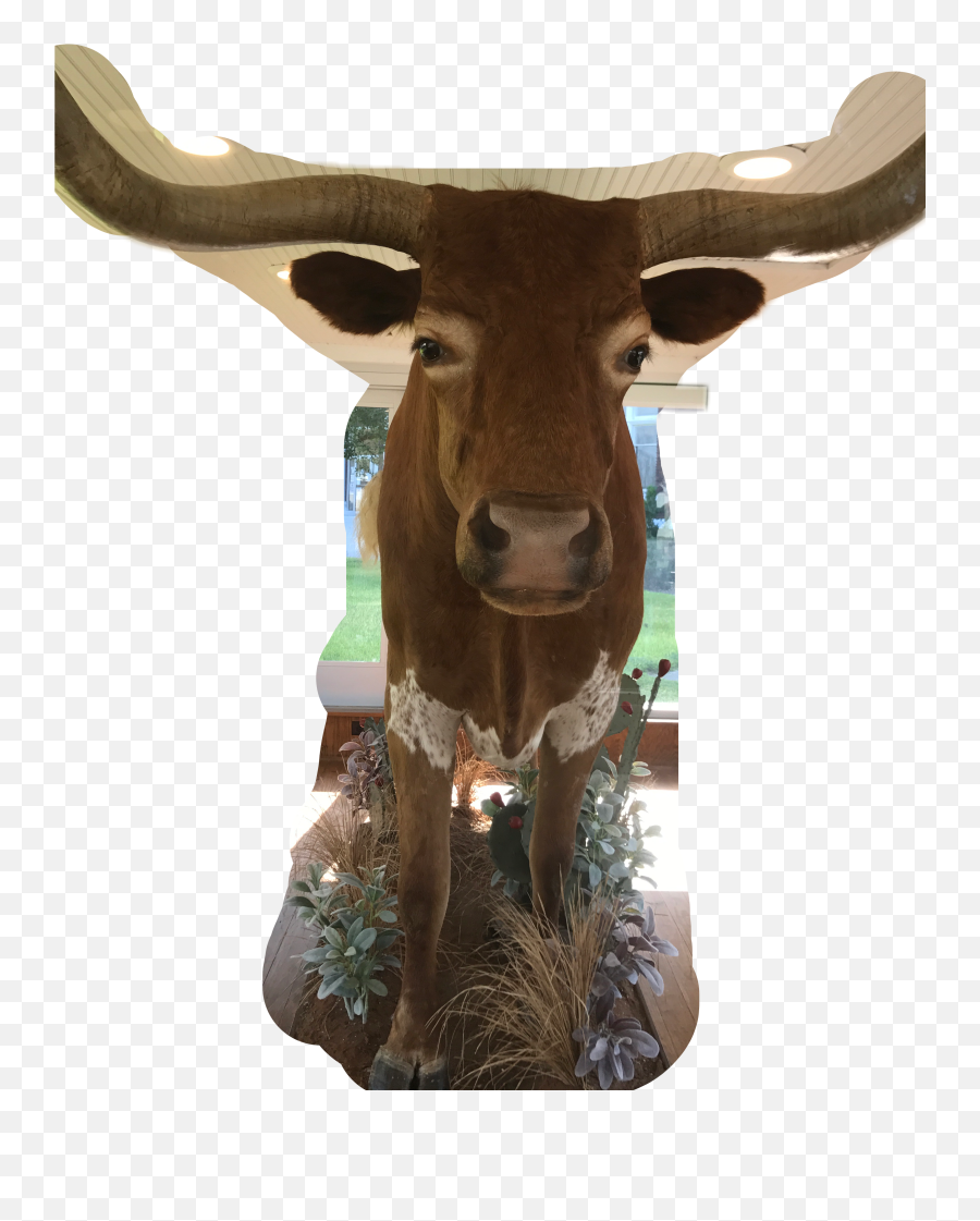 The Most Edited - Animal Figure Emoji,Texas Longhorns Emoji