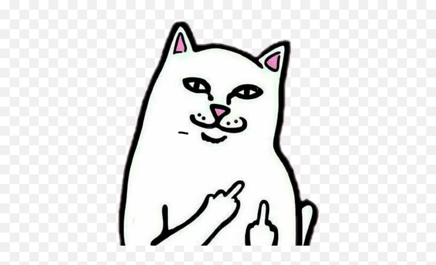 The Most Edited - Png Middle Finger Cat Emoji,Emoticon Grosero