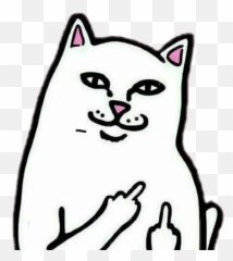 The Most Edited - Png Middle Finger Cat Emoji,Emoticon Grosero
