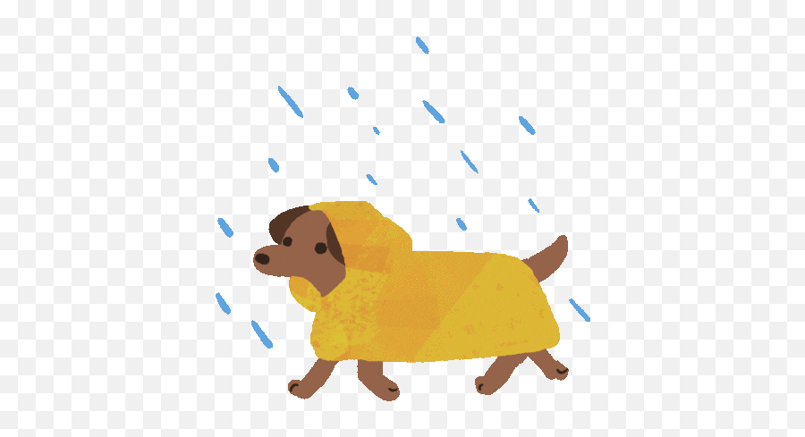 Weather And Clothes Quiz Baamboozle - Raining Dogs Gif Emoji,Get Better Dachshund Emoticon