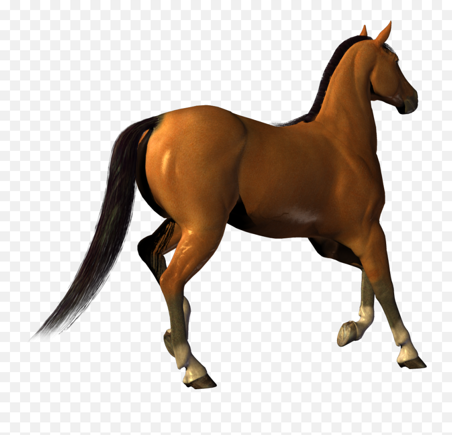 Transparent Animals Horse Png - Horse No Background Emoji,Horse Emoticons