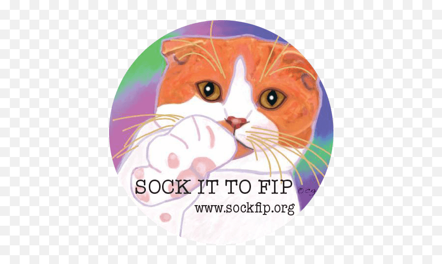 Sock Fip Fip Research Project Companion Animal Health - Soft Emoji,Grumpy Cat Emotion Chart
