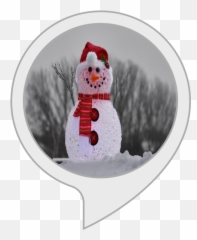 Amazon - Happy Emoji,Christmas Emojis Dancing