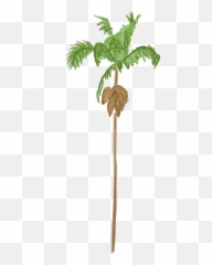 L - Los Angeles Palms Tree Png Emoji,What Do Three Palm Tree Emojis