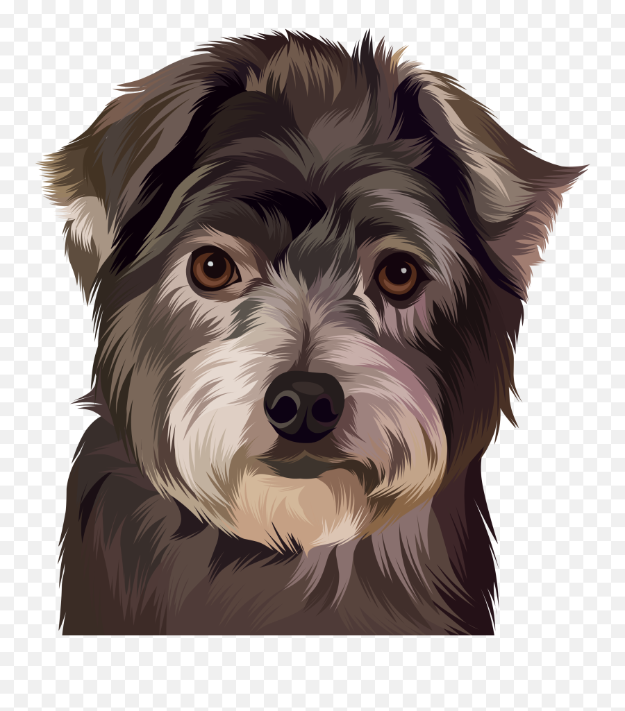 Portrait Gallery U2013 Hattie U0026 Hugo - Vulnerable Native Breeds Emoji,Mini Schnauzer Emojis