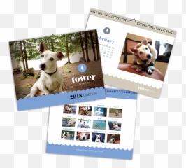 The Calendar - Photographic Paper Emoji,Emotion Calendar