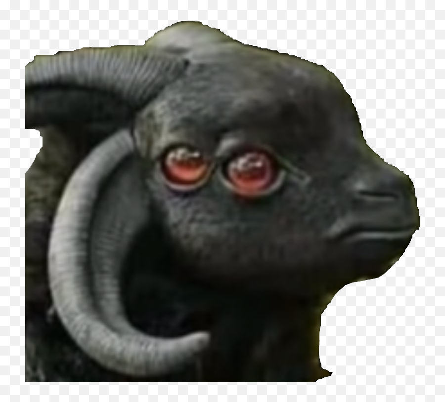 Discord Emojis List - Sudan Animal With Four Eyes,Goat Emoji