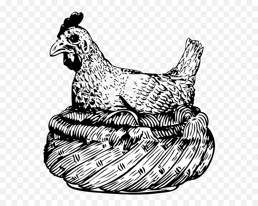 Free Photo Basket Hen Wings Chicken Feathers Egg Animal - Clip Art Emoji,Chicken Emotions
