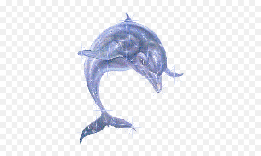Dolphins Gifs 1 Pinterest Dolphin Coloring Pages For Girls - Ecco The Dolphin Png Emoji,Dolphin Emojis