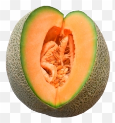 Melon Png And Vectors For Free Download - Dlpngcom Melon Png Emoji,Cantelope Emoticon