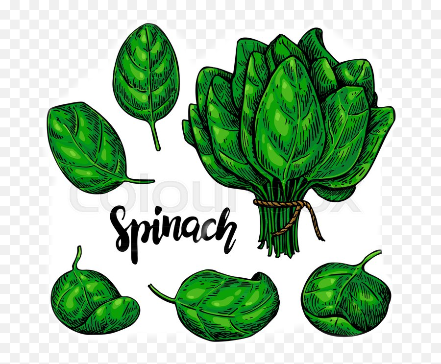 Eat Sticker - Spinach Draw Emoji,Artichoke Emoji