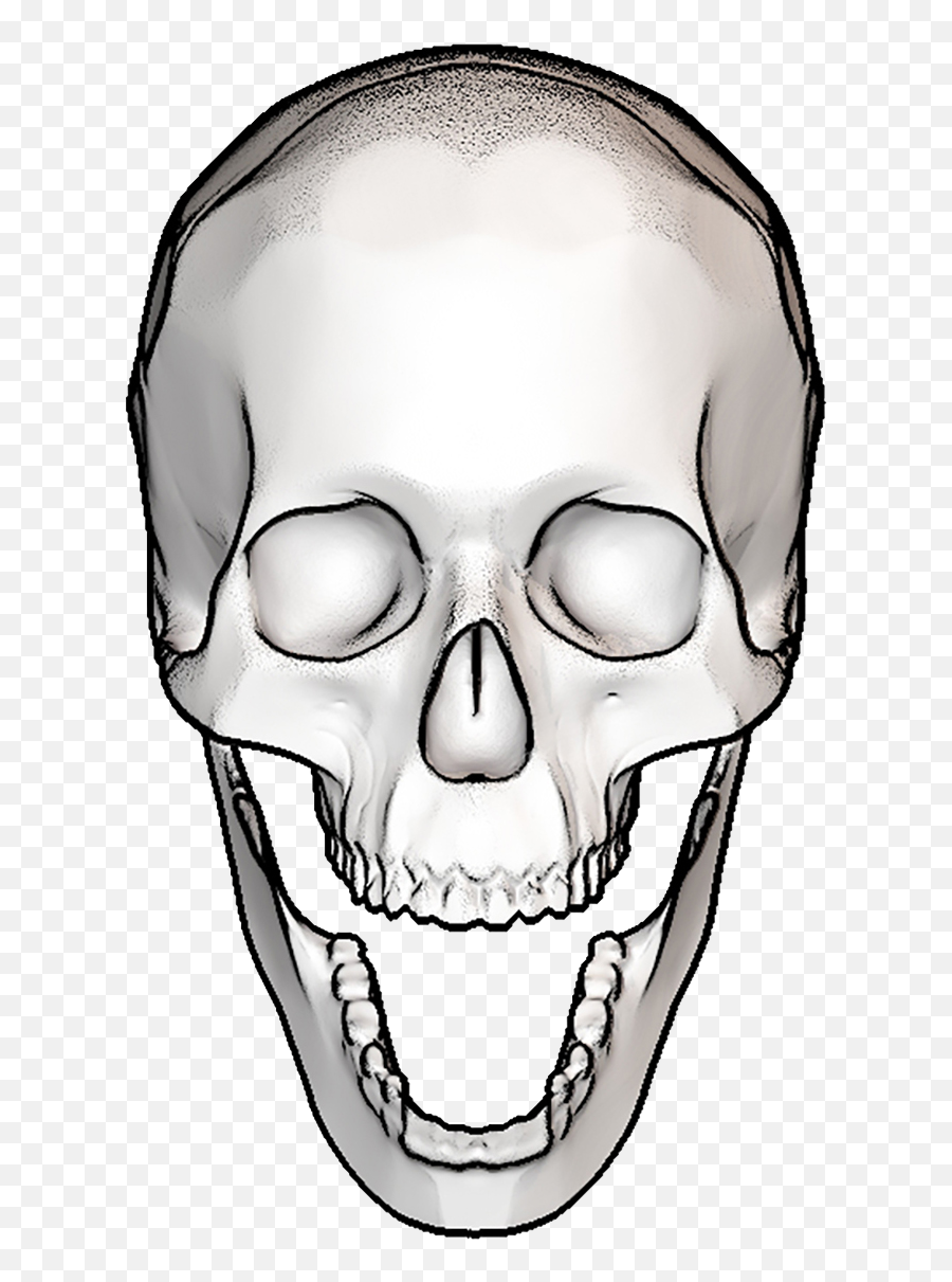 Skull Reference U2014 Matthewameycom Emoji,Skull & Acrossbones Emoticon