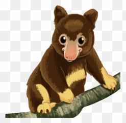 Tree Kangaroo Golden Mantled Tree Kangaroo Sticker - Tree Emoji,Kangaroo Emoticon For Facebook