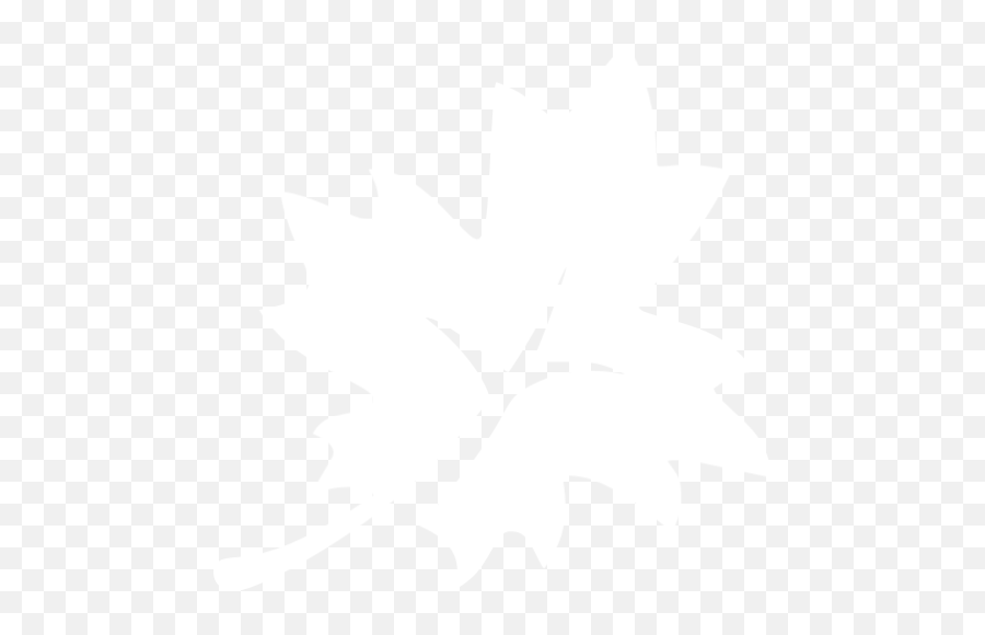 White Leaf 3 Icon - Leaf White Icon Png Emoji,Snowflake Sun Leaf Leaf Emoji
