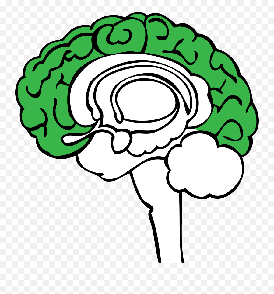 The Stoplight Approach - Limbic System Diagram Unlabeled Emoji,Components Of Emotion