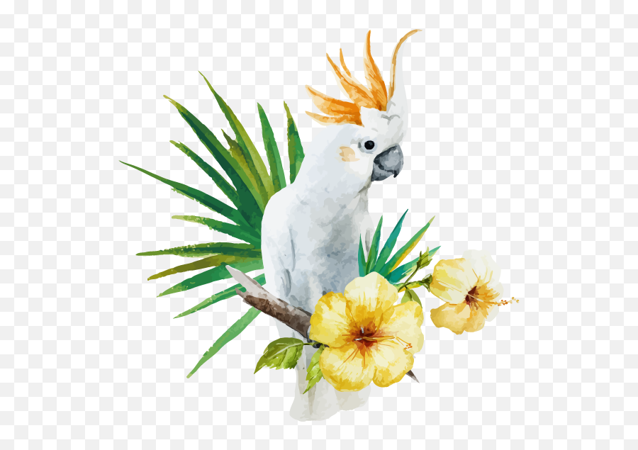 Amy Lim - White Parrot Illustration Emoji,Cockatiel Emotions