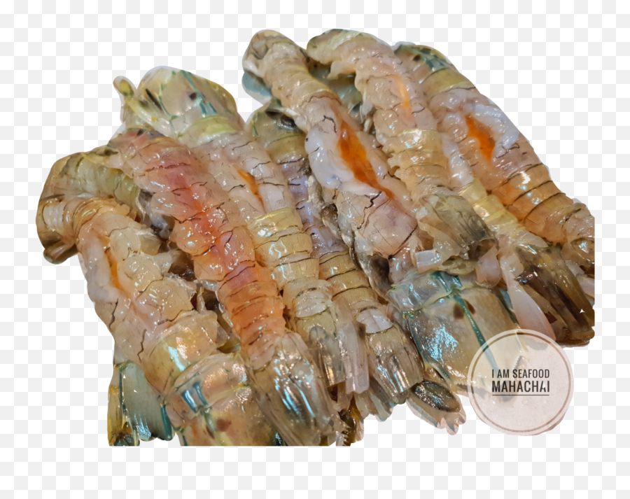 The Most Edited - Scampi Emoji,Prawn Emoji