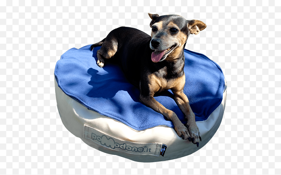 Giant Cushion Pomodone Giant Pouf For A Huge Relaxation - Dog Bed Emoji,Emotions Cushions