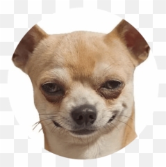 Cute Dog Stickers Whatsapp - Funny Dog Sticker Emoji,Chihuahua Emoji