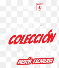 Gorras De Moda - Gorras Oficiales Fútbol Colombianodisney Dot Emoji,Gorras Planas De Emojis