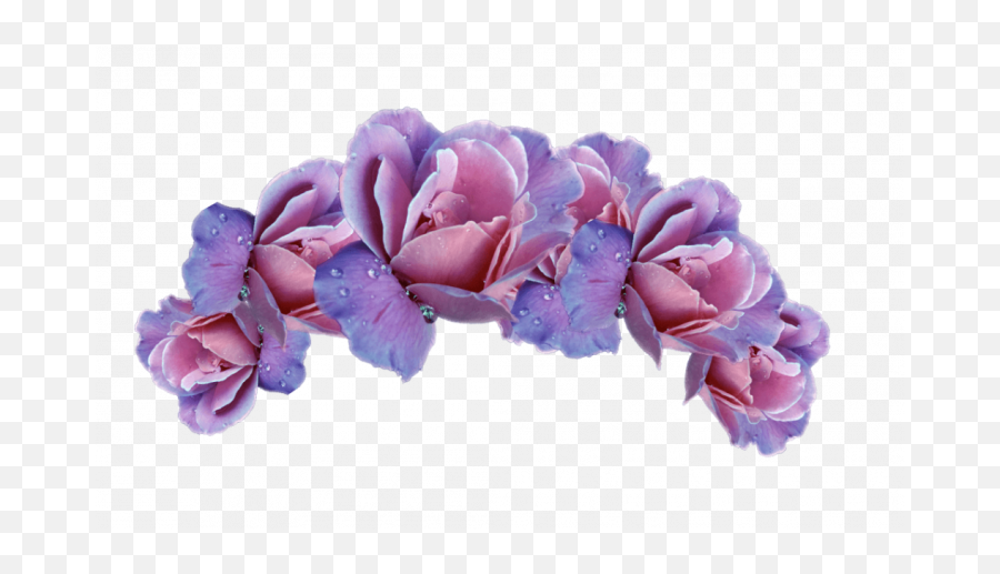 Purple Pink Crown Png U0026 Free Purple Pink Crownpng - Purple Flower Crown Png Emoji,Flower Crown Emoji Transparent