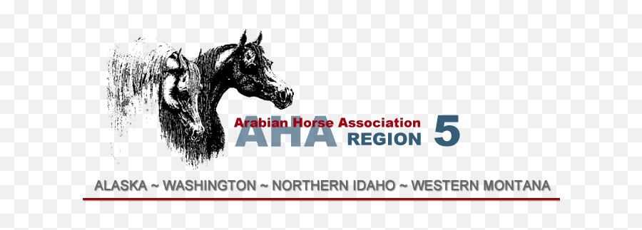 Region 5 Arabian Horse Association - Youth Meeting Minutes Washington State License Plates Emoji,Horse Emojis