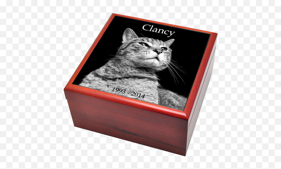 Tall Cat Urns - Filing Box Emoji,Granite Stone Emotions Cats