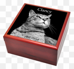 Tall Cat Urns - Filing Box Emoji,Granite Stone Emotions Cats