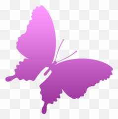 11 Brene Brown - Rising Strong Ideas Rising Strong Brene Timing Pulley Cutter Emoji,Brene Brown Quotes Numb Emotions