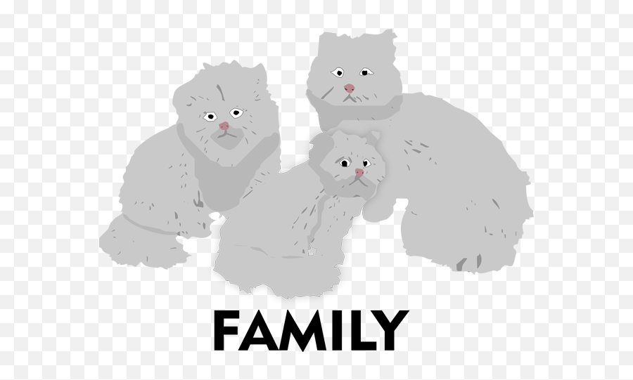 Persiancatmoji - Soft Emoji,Grey Cat Emoji