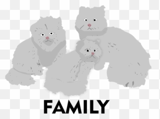 Persiancatmoji - Soft Emoji,Grey Cat Emoji