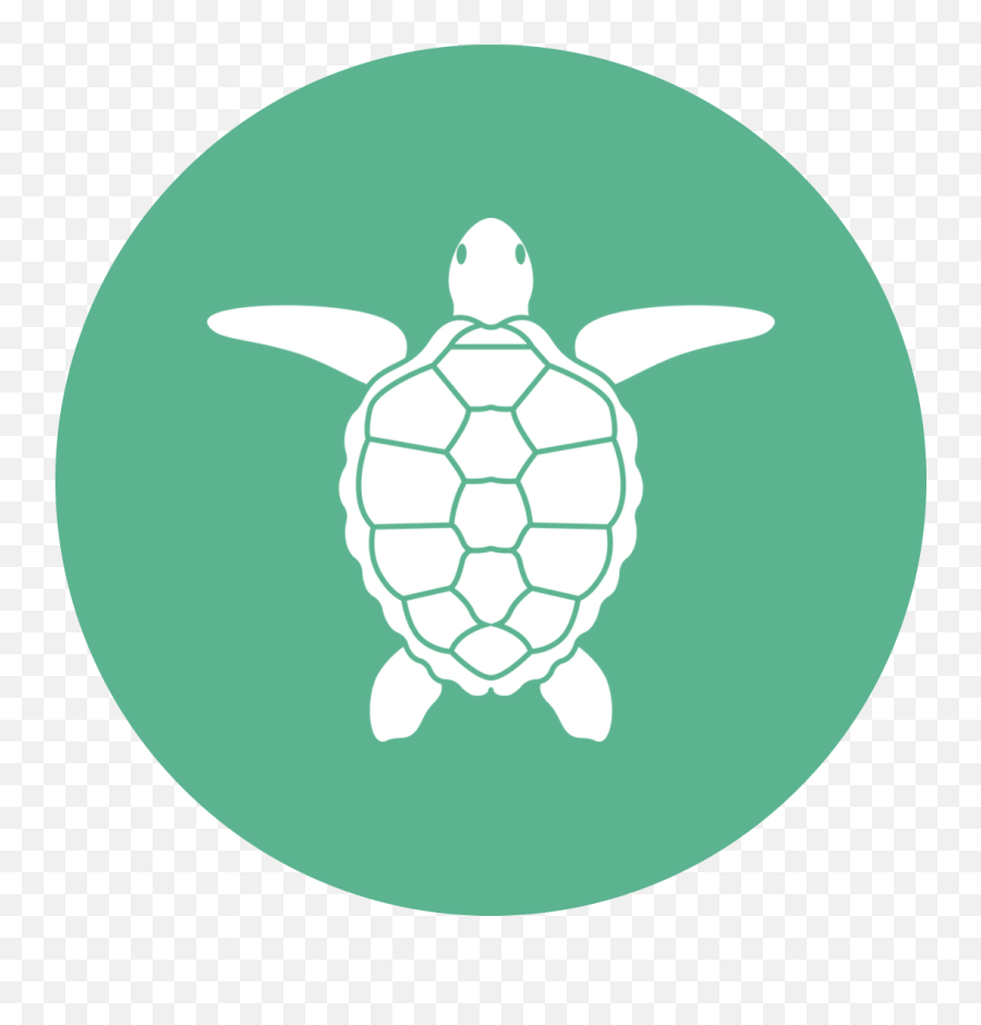 Proud Pour - Transparent Baby Loggerhead Turtle Emoji,Turtle Emotions Pritnable Cards