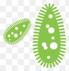 Medicinal Genomics - Solutions For Safe Quality Cannabis Emoji,Marawana Leaf Emoji