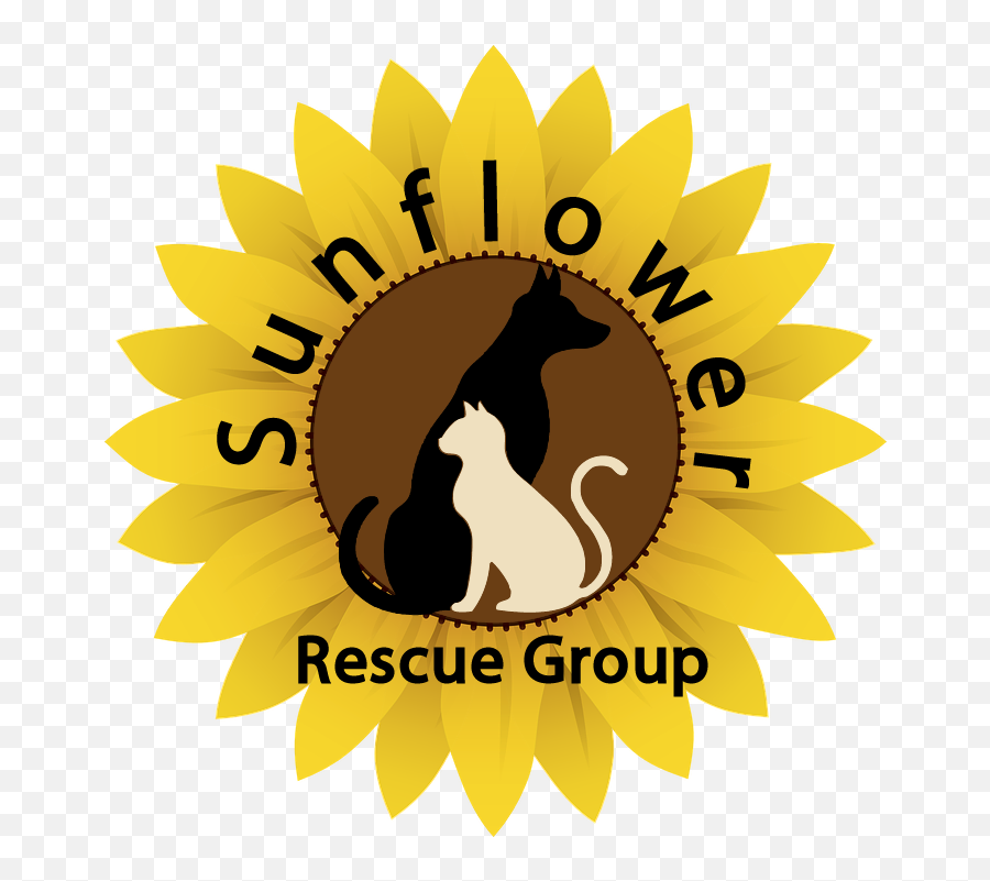 Sunflower Rescue Group Emoji,Kansas Sunflower Emoticon