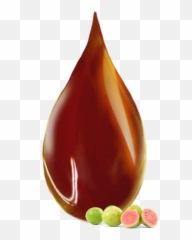Organically Cultivated Unrefined Guava Seed Oil Emoji,Beans. Emojipedia