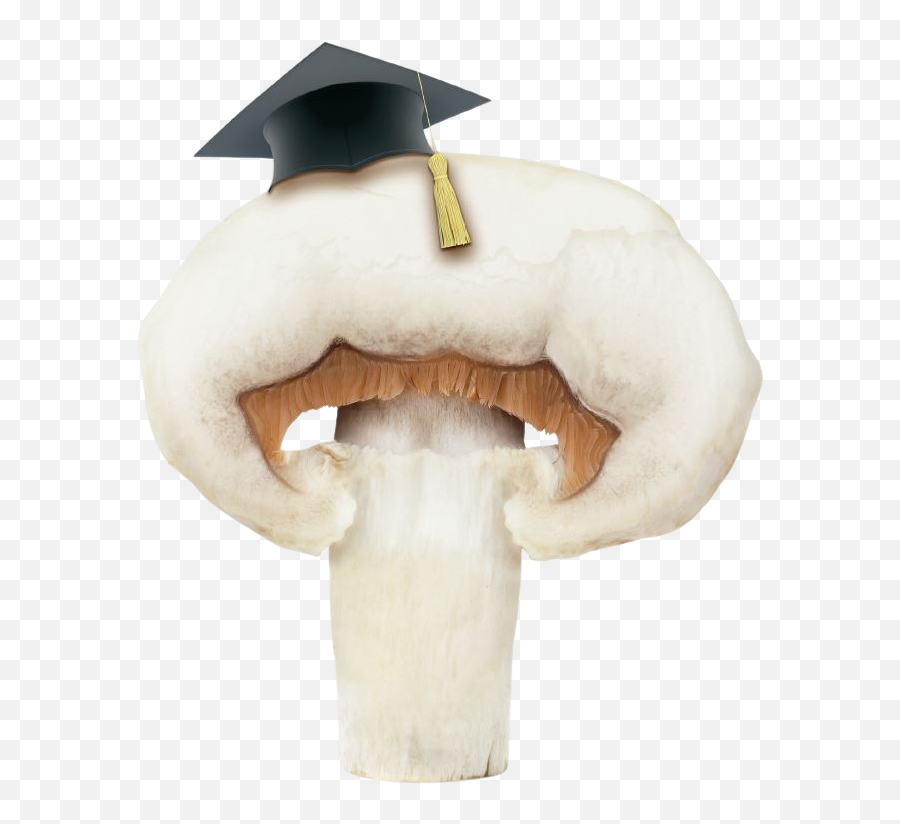 Lesson Plans - Australian Mushroom Growers Emoji,Mushroom Funny Emoji