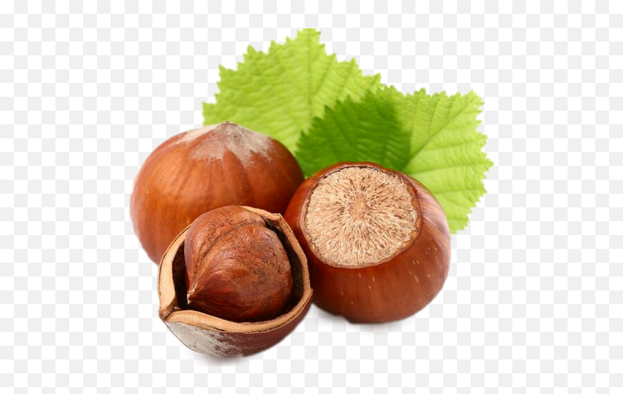 Nuts Nut Sticker - Maso Do Ciala Orzech Laskowy Emoji,Hazelnut Emoji